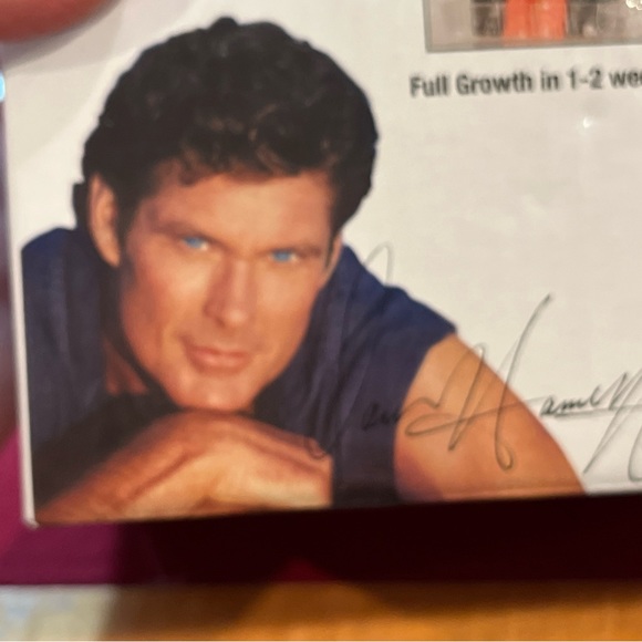 CHIA PET David Hasselhoff “The Hoff” Pottery Planter - Knight Rider New In Box!! - Picture 8 of 10